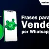 Las mejores frases para ofrecer un producto por WhatsApp