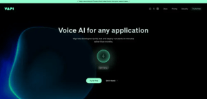 VAPI AI APP
